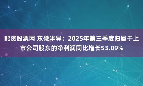 配资股票网 东微半导：2025年第三季度归属于上市公司股东的净利润同比增长53.09%